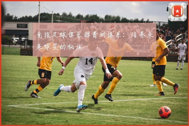 竞技足球俱乐部青训体系：培养未来球星的秘诀