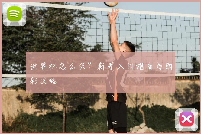 世界杯怎么买？新手入门指南与购彩攻略