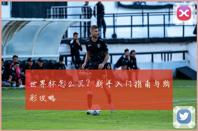 世界杯怎么买？新手入门指南与购彩攻略