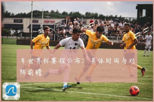 年世界杯赛程公布：具体时间与对阵前瞻