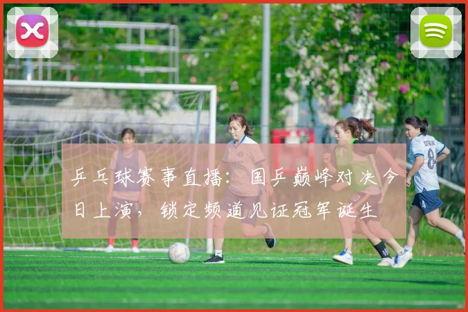 乒乓球赛事直播：国乒巅峰对决今日上演，锁定频道见证冠军诞生